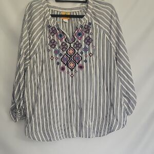 Ruby Rd. Blue Striped Embroidered Blouse